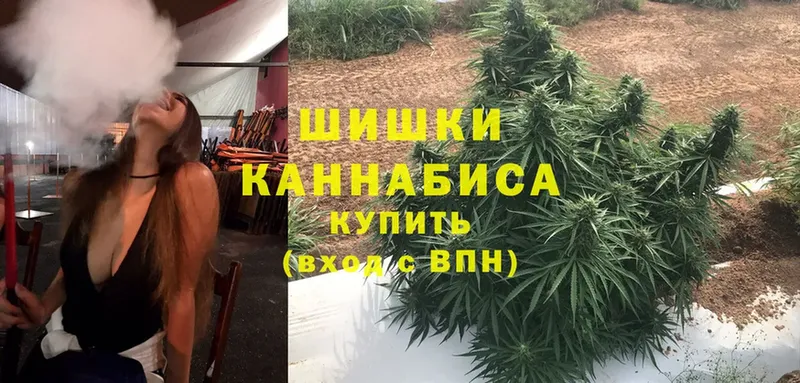 Каннабис индика  Бежецк 